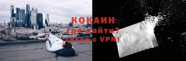 гидра Богородицк