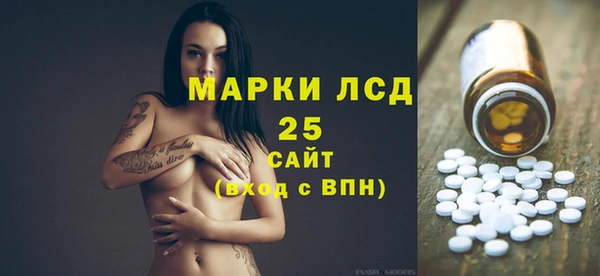 гидра Богородицк