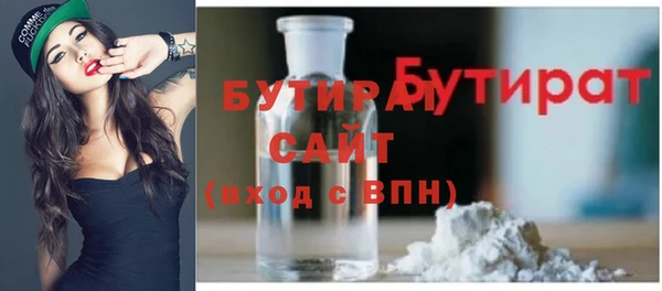 гидра Богородицк