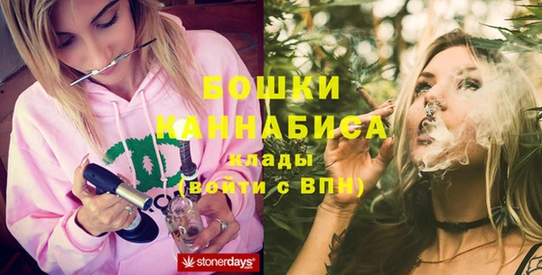 ГАЛЛЮЦИНОГЕННЫЕ ГРИБЫ Белокуриха