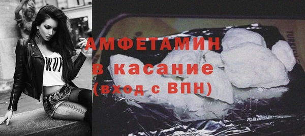 гидра Богородицк