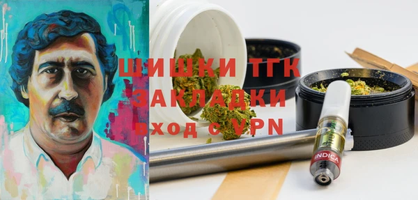 спиды Няндома