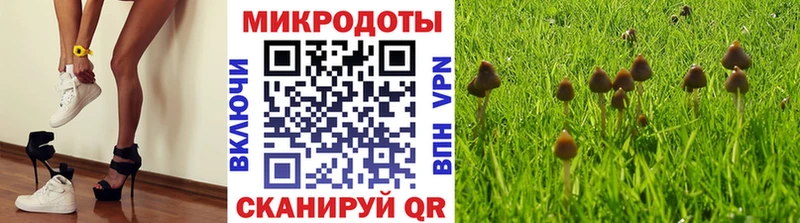наркошоп  кракен сайт  Галлюциногенные грибы Psilocybine cubensis  Беслан 